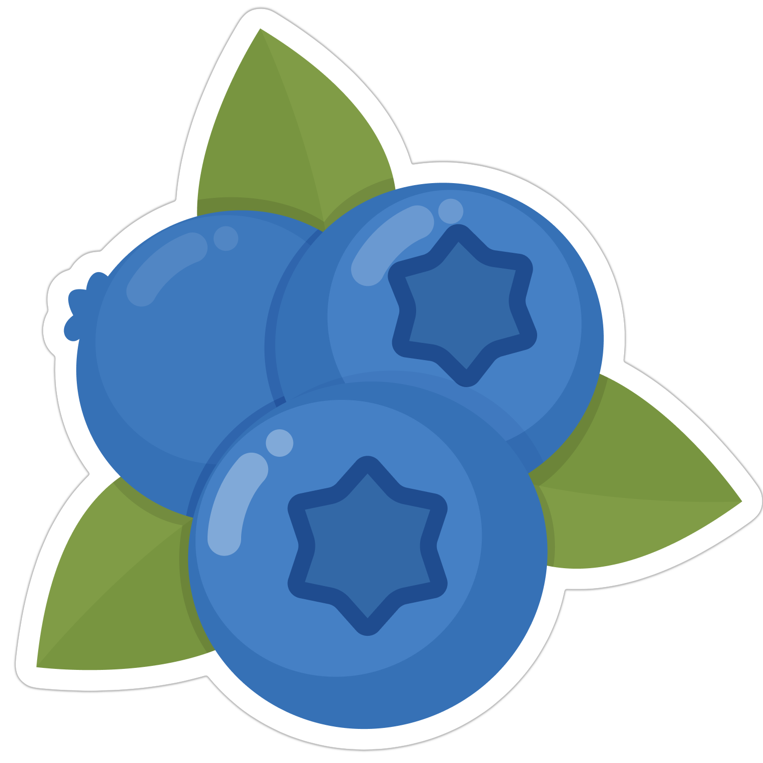 Initial Design of Zones (Blueberry)