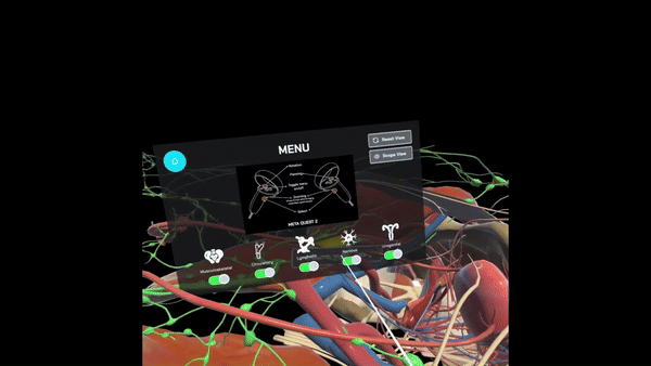 Toggling of Anatomy Systems