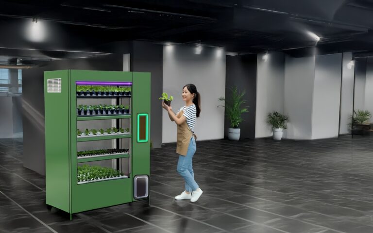 plplpl-fotor-2025041216272