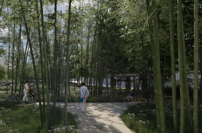 250326_Bamboo Forest Final