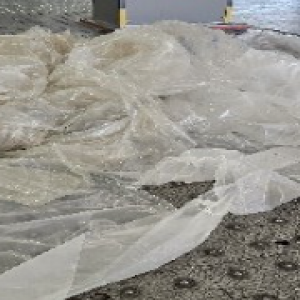 Screenshot 2025-04-06 195307