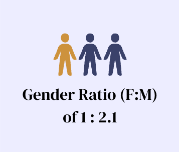 gender makeup