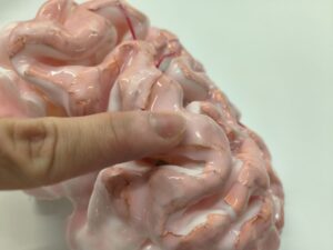 Silicone 2