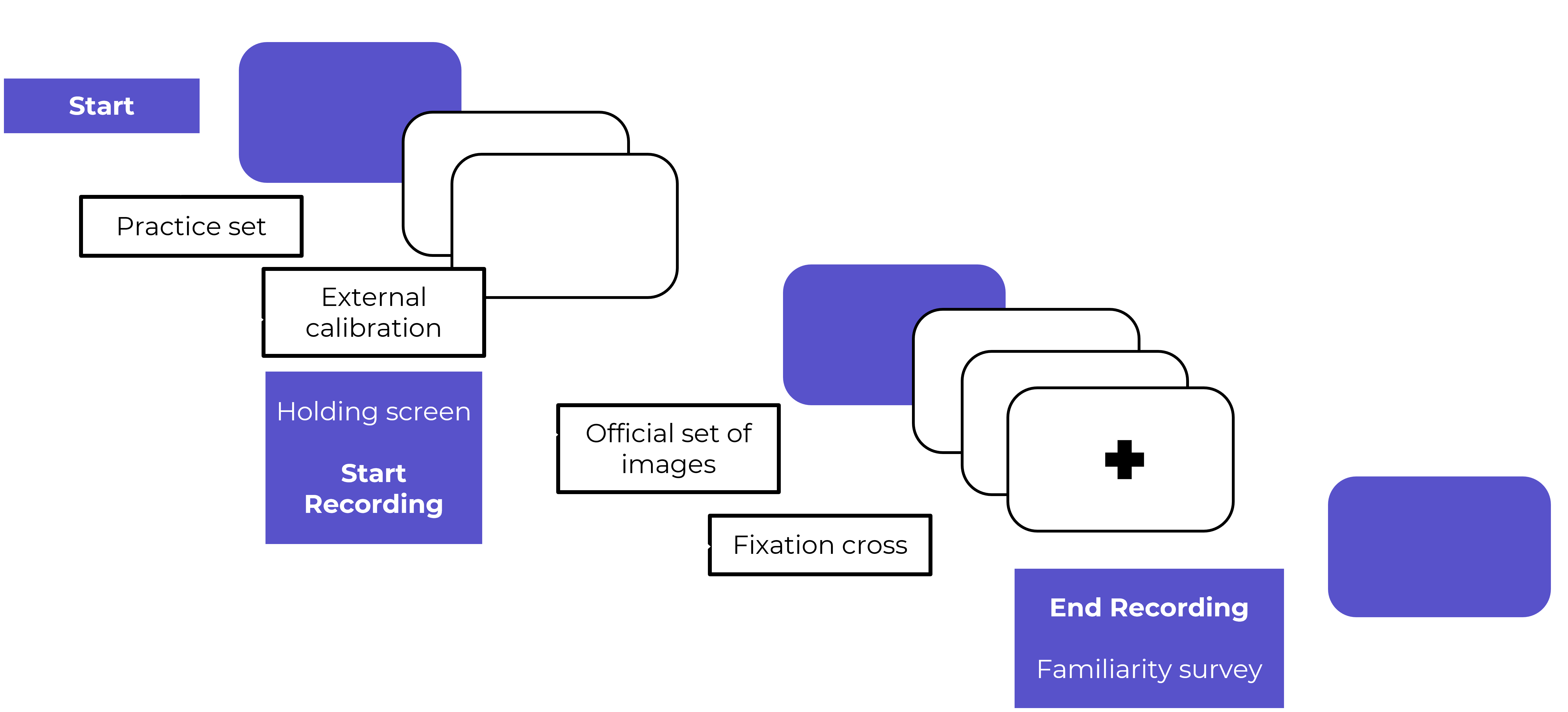 expt process expt process