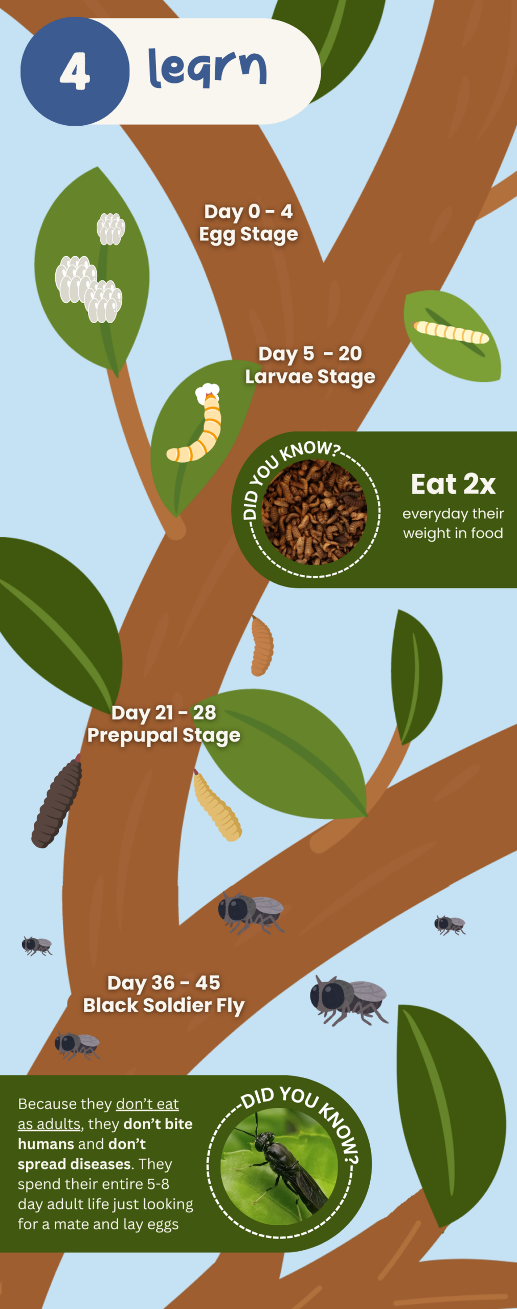 Lifecycle Panel
