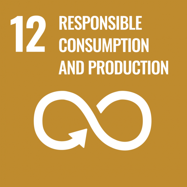 sdg 12 sdg 12