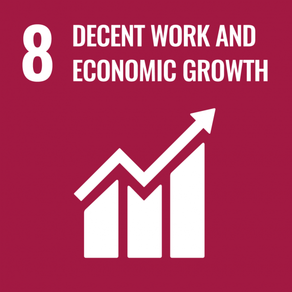 sdg 8 sdg 8